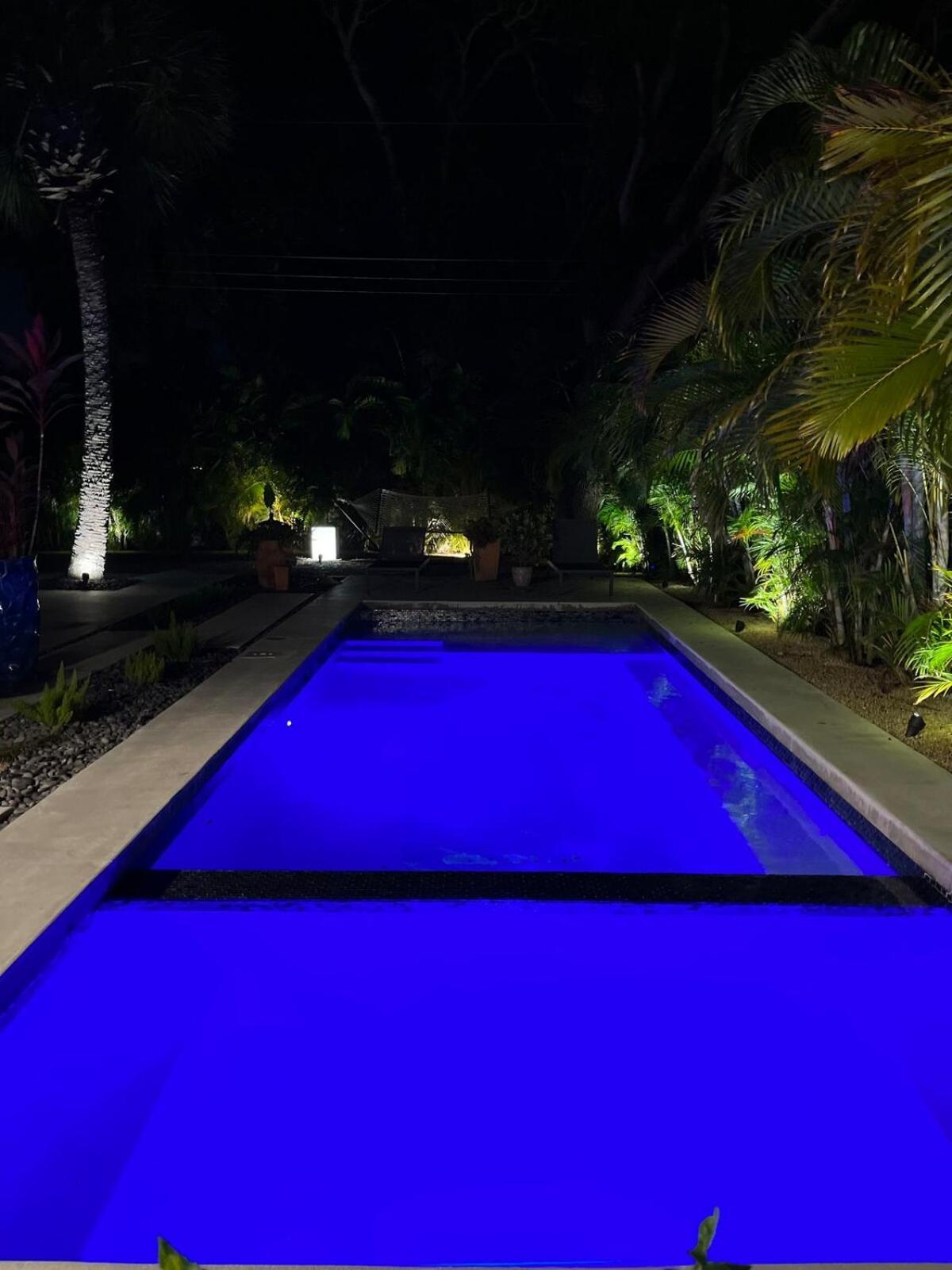 Hiddengem In Charming Sarasota, Florida Villa Eksteriør billede